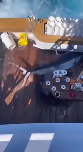 17 reactions · 6 comments | This fish here is cuttlefish in English...