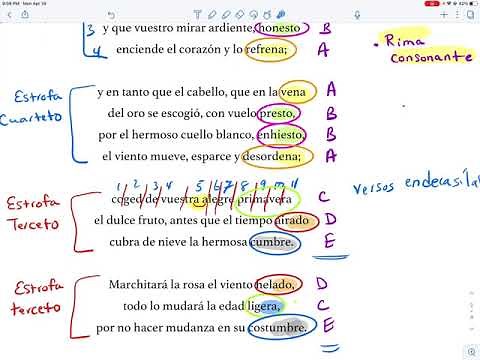 Video 5: Análisis Soneto XXIII "En tanto que de rosa y azucena"