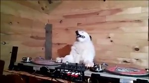 17K views · 756 reactions | Every DJ in the world live streaming right now  | Gorgon City | Facebook