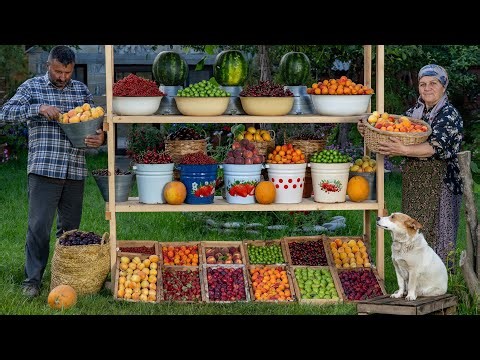 Forever Fresh No Fridge Needed Fruit Compote Making