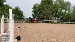 3.3K views · 79 reactions | MPF ARISTELLA Z by SFS ARISTIO ( ARKO X...