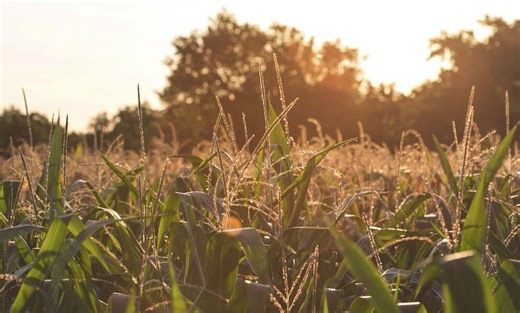 In conversation: New agriculture technology research park aims to reduce food waste