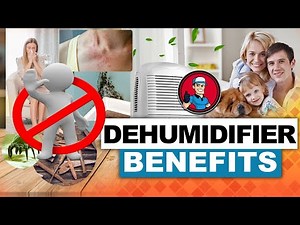 Dehumidifier Benefits 👍: What You’re Missing Out On! | HVAC Training 101