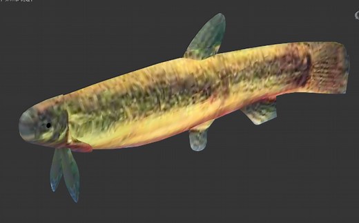 3ds Max鱼简模教程（贴图）