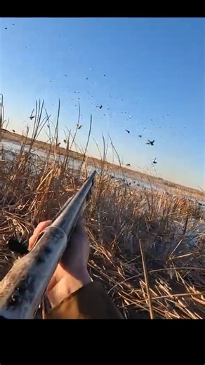 Late Season Ducks Moving Fast 🦆❄️