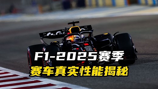 [12.26]F1-2025数据大揭秘——维斯塔潘开慢车，迈凯伦是火星车，拉塞尔被低估！