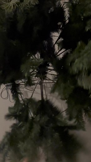 Celebrate the holidays with Celebrity Homes Omaha! | Karen Stansberry-Open Doors Real Estate, LLC