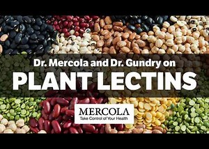 Limit the Lectins: How Lectins Can Harm Your Health