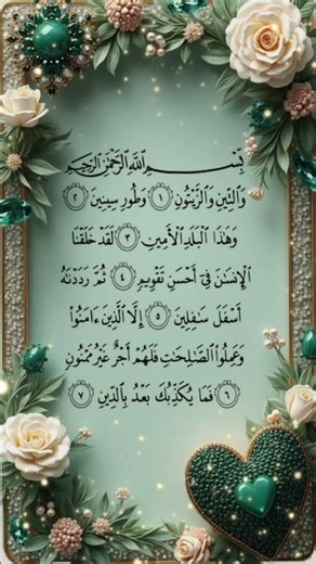 surah Al Teen ✨️ egzonibrahimi #quranrecitation #quran #tilawat #usaquran #merataiba