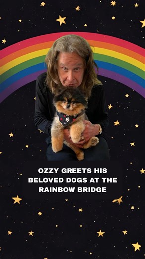Ozzy is with his precious dogs 🌈🐶 #rainbowbridge #doglife | The Animal Cave