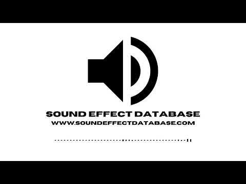 Large Group Of Piranha Sound Effect