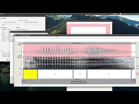 Praat Picture Window - Quick introduction