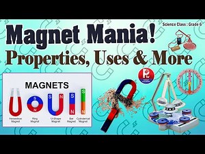 Fun With The Magnets : Grade 6 Science Chapter - Magnet Mania! Properties, Uses & More 🧲🧭