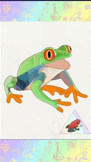 Drawing a Red Eyed Tree Frog A. callidryas #frogart #frogdrawing #treefrog #art #timelapse #shorts