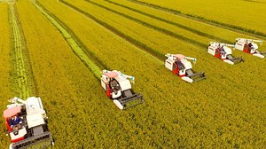 Fears as global currency markets on the edge of upheaval