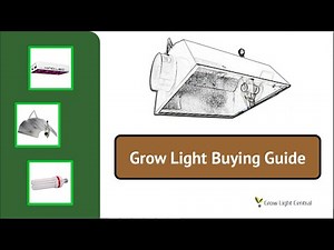 Grow Light Buying Guide - Choosing The Best Plant Light For Your Needs