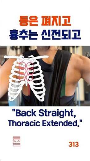 313 등은 펴지고 흉추는 신전되는 운동 "Back Straight, Thoracic Extended."#등운동#thoracic