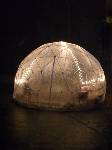 My husband and I decided to gift this giant snow globe to each other for Christmas this year! We have been too busy renovating and getting it all set up to actually use it... but here it is, in all it's glory! We put the lights and heater on Alexa plugs so it can all be controlled from the comfort of indoors. #dome #snowglobe #igloo #Christmas #ice @🃏Lee Anthony🎭
