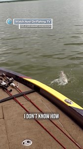 Do livescopes make fishing better or worse? - ‘Fishermans Handbook’ on FishingTV Click the link to watch now! https://www.fishingtv.com/series/fishermans-handbook-2020/ Expert Bass angler, Wade Middleton brings us another series of Fisherman's Handbook, a FREE to view series packed full of top tips to help you improve your catch rates when Bass fishing. Wade showcases some of the latest equipment on the market such as his new Ranger boat and the Garmin Livescope which gives unparalleled access t