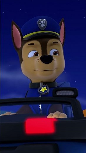 Pups help an Octopus return to the ocean! #pawpatrol #shorts