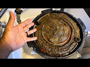 I Waited Too Long to Clean My Aquarium Filter...