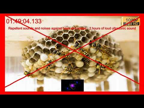 Repellent sounds and noises against bees and wasps - 2 hours of loud ultrasonic sound