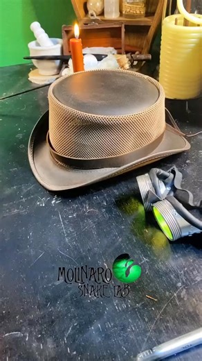 55K views · 799 reactions | This was one of the coolest snakes I’ve ever seen! #reels #snake #reptiles #animals #fblifestyle | The Molinaro Snake Lab | Facebook