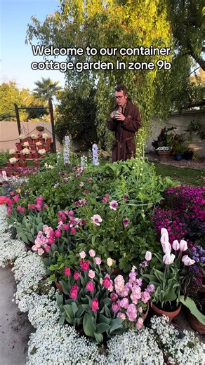 Here’s what’s blooming in our zins 9b container garden in early March! 🌷✨ #gardening101 #cottagegarden #containergarden #gardentok