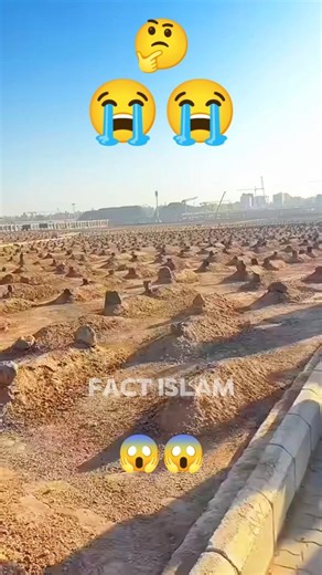 Jannat-ul-Baqi: ﷺ|| #factislamic