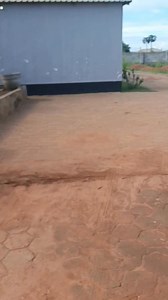 126K views · 4.7K reactions | Queen the Boss Lady | Wyclif Mwamba | Facebook