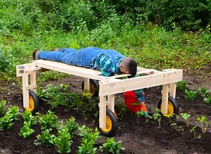 15M views · 52K reactions | Smart & easy ways to protect your garden! | 5-Minute Crafts | Facebook