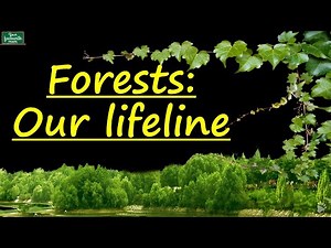 Forests [ Forests - Our Lifeline ] Class 7 | Science| CBSE