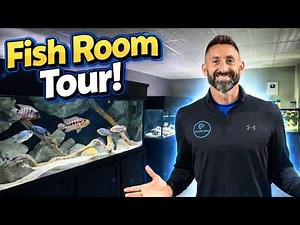 Massive Fish Room Tour! 650 Gallons, 8 Tanks & BIG Changes Coming