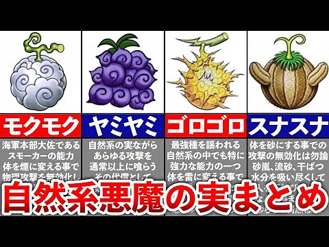 [ONE PIECE] A summary of all 13 types of natural Devil Fruits