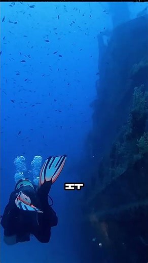 They found a "Door" in the Mariana Trench. 🚪🌊