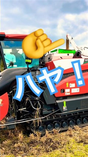 Kubota DR6130クボタの6条130馬力コンバインで刈り取り🏃‍♂️#kubota #harvester #harvesters #コンバイン #combine #農業 #農家 #割倒#割稲