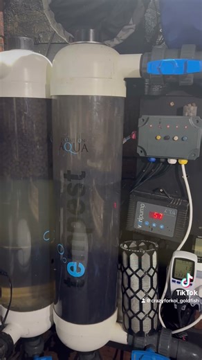 I clean my filters two times a week all year around 😎🎏 #koi #ponds #fish #clean #filter #tempest