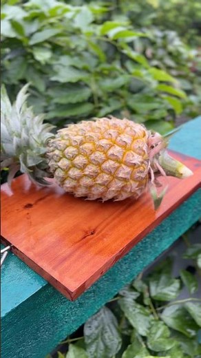 How to Cut a Pineapple 🍍 | Easy & Fast Pineapple Cutting Tutorial | How to Peel & Cut a Pineapple