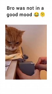 3.1K views · 34K reactions | Not today ... 﫠 | James Lowe | Facebook