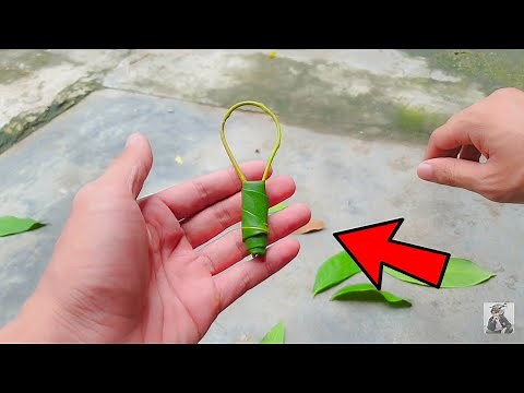 5 Leaf Games of Old Rural Children - Childhood Memories