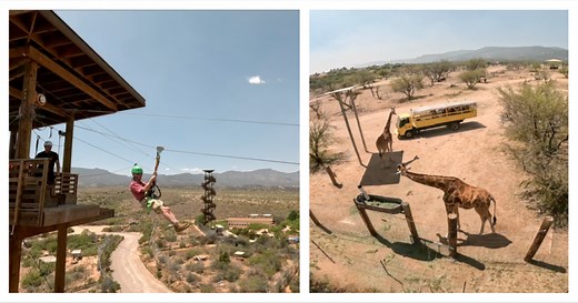 Zip Line over exotic animals at Out of Africa Wildlife Park in Camp Verde