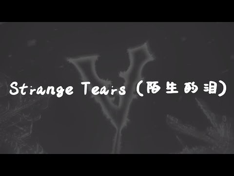 WayV 威神V 'Strange Tears (陌生的泪)' | 歌词/lyrics