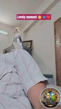 Meet My Pet Barber: This Bird Prunes My Hair!