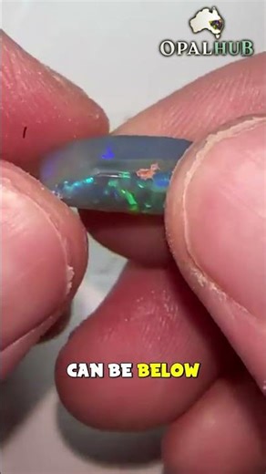 Live Opal Auction Facts | Rough Rubs Cutting Decisions and Real Outcomes