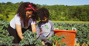 5 Ways to Help Fight Hunger in America | CapRelo