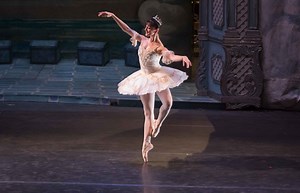 Story of the Nutcracker Dance of the Sugar Plum Fairy - Ballet Focus