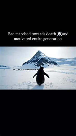 🌎 WORLDWIDE REEL HUB 44.6K on Instagram: "Penguin 🐧 motivation #penguin #trending #motivation #death Handwriting unlock on Samsung devices is a feature for inputting text within specific apps or as a keyboard option, but it is not a method for unlocking the device's main lock screen itself. The image depicts a user drawing characters on a Samsung phone, likely interacting with the handwriting input feature available in the Samsung Keyboard or the Samsung Notes app using an S Pen stylus. While 