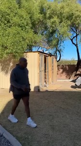 Why Mike Tyson Loves Pigeons More Than Boxing #miketyson #box #fighter | World of Strength Boxing