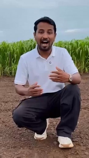 14 reactions | ✔Triple superphosphate (TSP) was one of the first high-analysis phosphorus (P) fertilizers that became widely used in the 20th century. | Clicky Slipy | Facebook