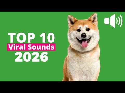 Top 10 Viral Sounds That Make Dogs Go Crazy 🐶